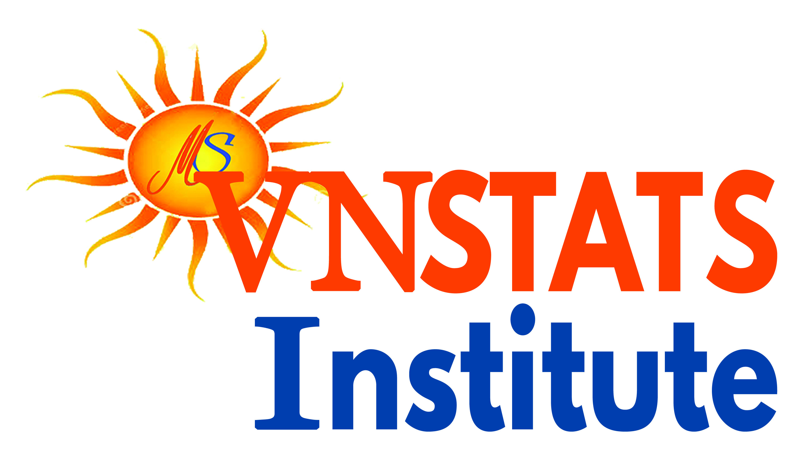 WELCOME TO VNSTATS INSTITUTE